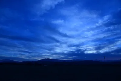 DSC_0956 (Large).JPG